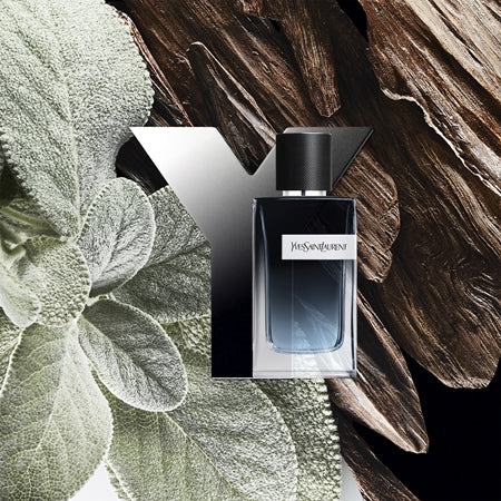 Y 100 ml Eau de Parfum